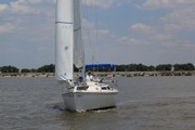 pictures/img_1433.jpg
